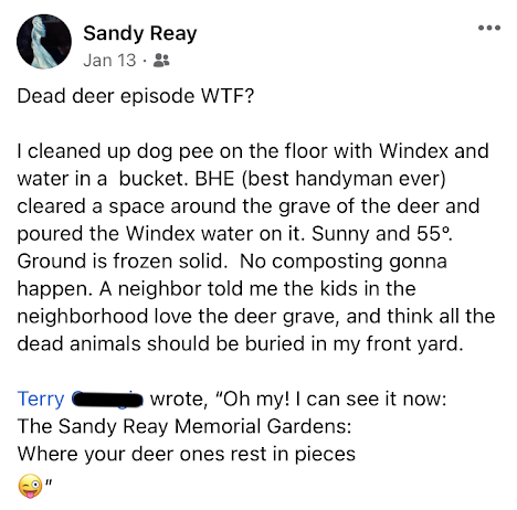 Facebook post: Dead deer episode WTF? I cleaned up dog pee on the floor with Windex and water in a buckt. BHE (best handyman ever) cleared a space around the grave of the deer and poured the Windex water on it. Sunnyy and 55 degrees. Ground is frozen solid. No composting gonna happen. A neighbor told me the kids in the neighborhood love the deer grave, and think all the dead animals should be buried in my front yard. Terry G wrote, "Oh my! I can see it now: The Sandy Reay Memorial Gardens: Where you deer ones rest in pieces. winking tongue-out emoji"